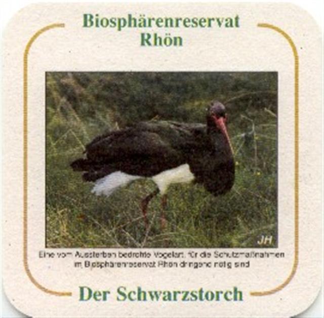 kaltennordheim wak-th rhön tiere 3b (quad180-der schwarzstorch) 